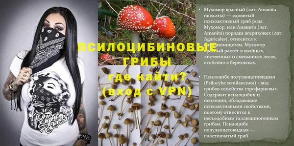 PSILOCYBIN Волосово
