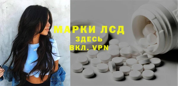 PSILOCYBIN Волосово