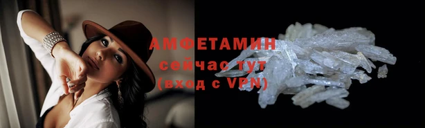PSILOCYBIN Волосово