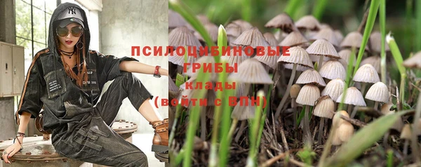бошки Волоколамск