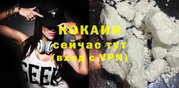 PSILOCYBIN Волосово