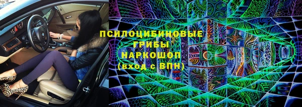 PSILOCYBIN Волосово
